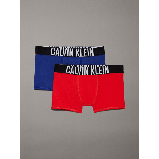 CALVIN KLEIN JEANS B70B700488 boxers 2 units