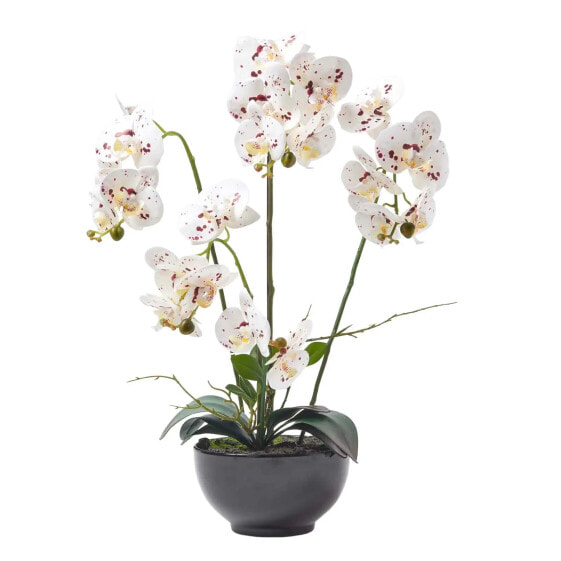 Искусственные цветы Homescapes Phalaenopsis-Orchidee в белом цвете 62 см