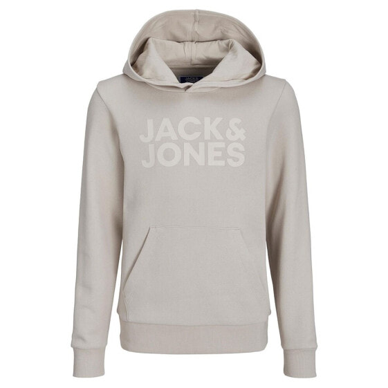 JACK & JONES Corp Logo hoodie