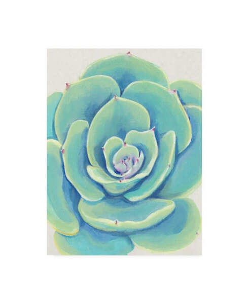 Tim O'Toole Pastel Succulent IV Canvas Art - 19.5" x 26"