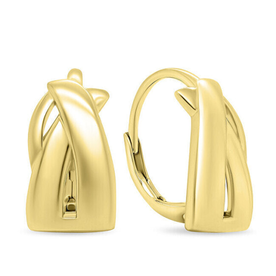 Fashion Gold Plated Dangle Earrings EA534Y