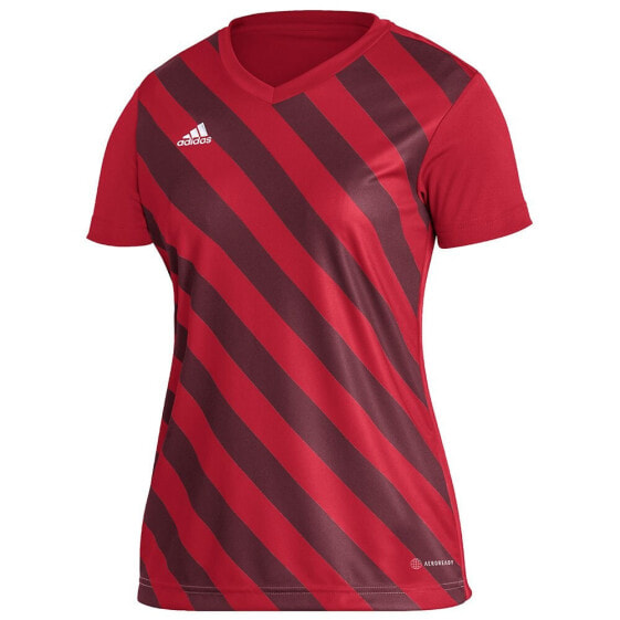 ADIDAS Entrada 22 GFX short sleeve T-shirt