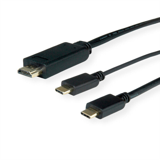 ROLINE 11.04.5952 - 1 m - USB Type-C - HDMI + USB - Male - Male - Straight