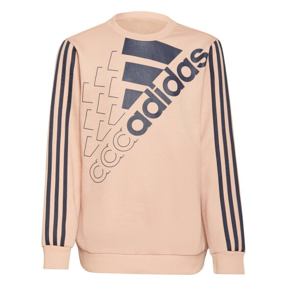 ADIDAS Logo sweatshirt