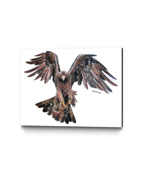 Dino Tomic Golden Eagle Museum Mounted Canvas 32" x 24"