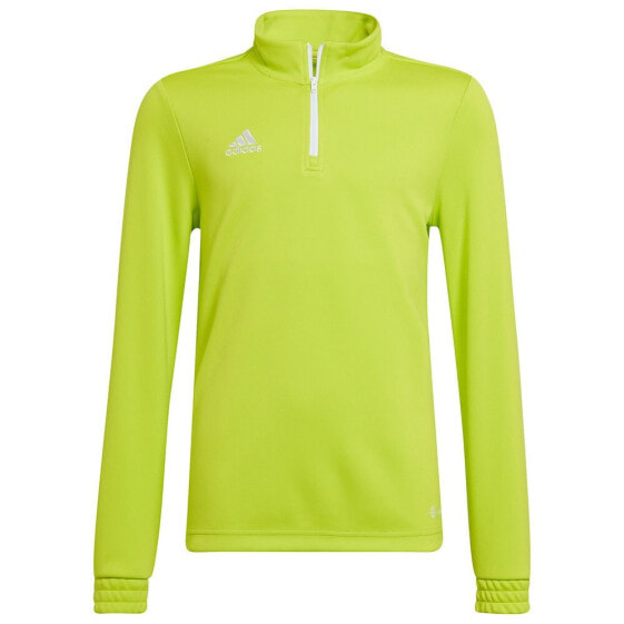 ADIDAS Entrada 22 Training sweatshirt