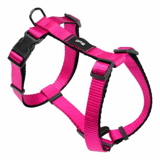 BULL Basic Harness