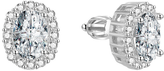 Glittery silver earrings AGUP1501S
