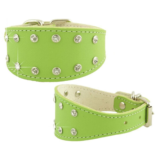 YOUPET Greyhound Fant 45x6 cm Dog Collar