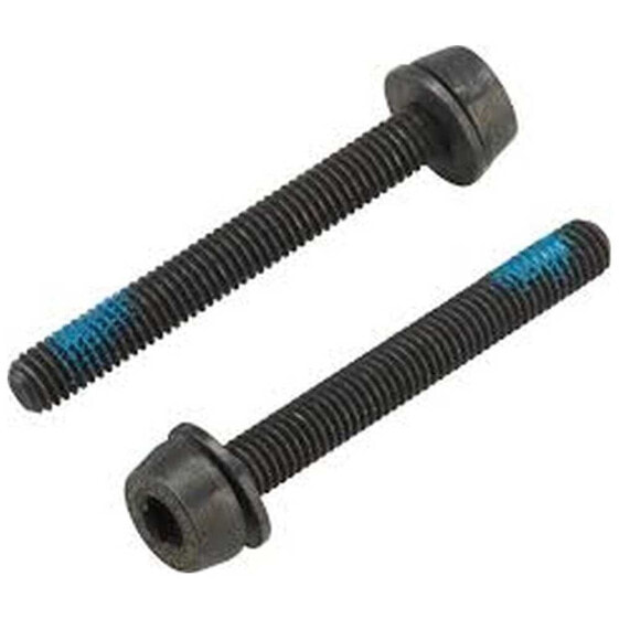 CAMPAGNOLO Screws For Rear Mounting 39 mm