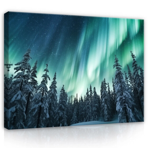 Leinwandbild Aurora borealis Landschaft