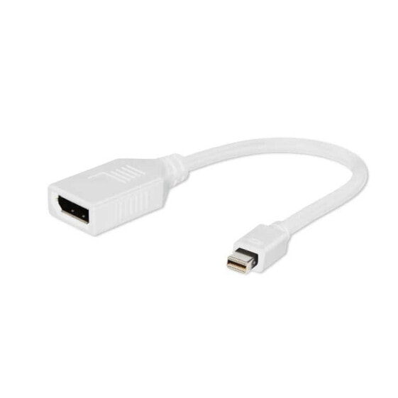 GEMBIRD DPF001W DisplayPort To DVI Adapter