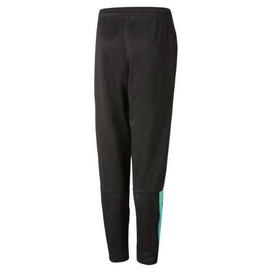 PUMA Teamliga Pa Pants