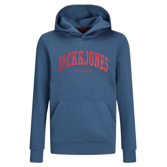 JACK & JONES Josh hoodie