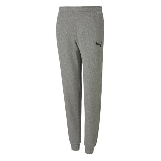 Puma Teamgoal 23 Casuals Pants JR