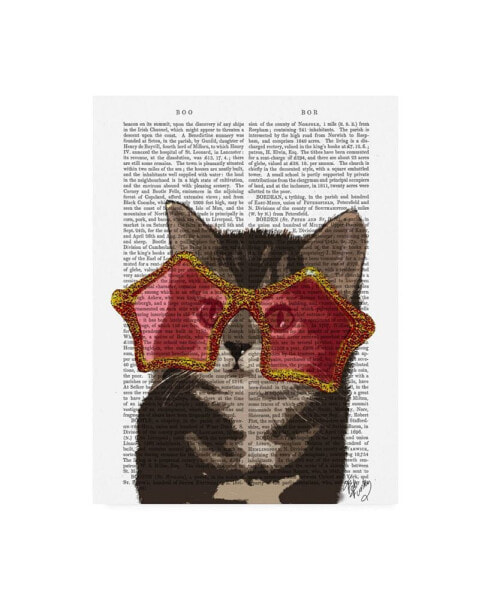 Fab Funky Kitten in Star Sunglasses Canvas Art - 15.5" x 21"
