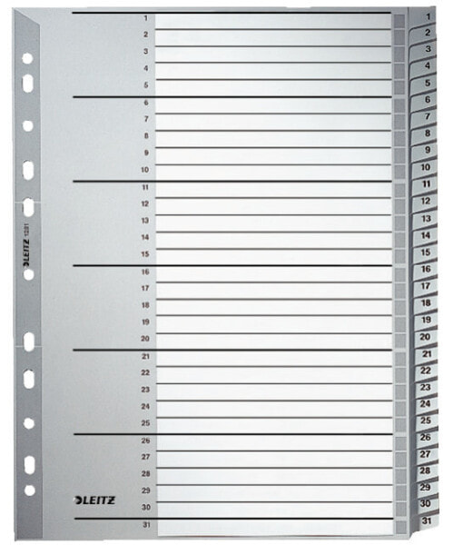 Esselte Leitz 12810000 - Numeric tab index - Cardboard - Grey - 250 g/m² - 238 mm - 29.7 cm