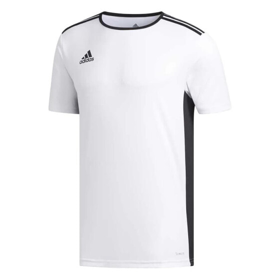 ADIDAS Entrada 18 short sleeve T-shirt