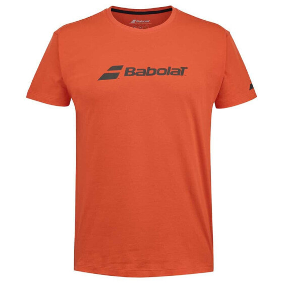 Футболка мужская Babolat Exercise Short Sleeve