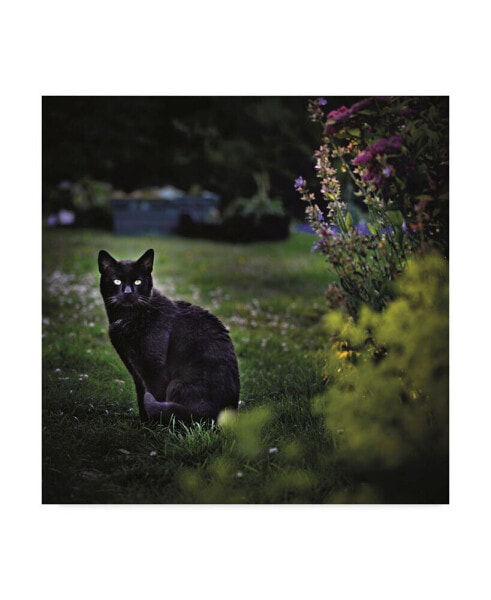 Christine Sainte-Laudy Black Cat in the Garden Canvas Art - 27" x 33"