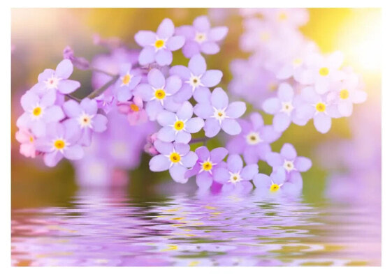 Fototapete Violet Petals In Bloom