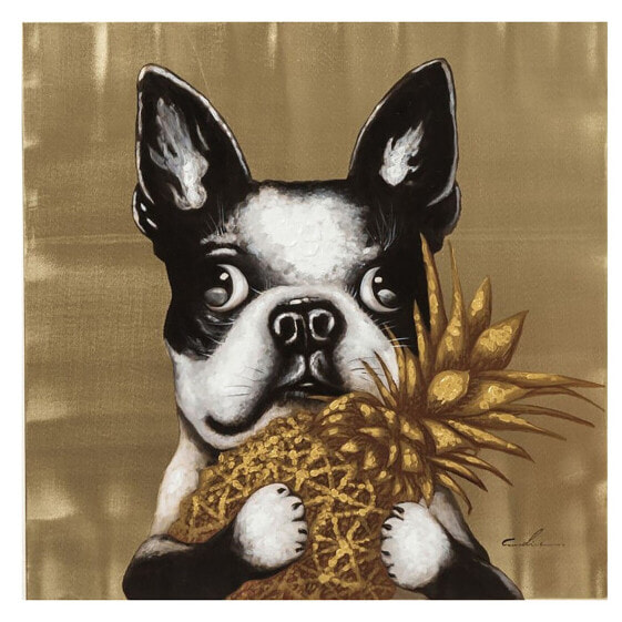 Bild Touched Dog with Pineapple