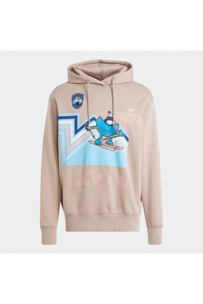 Толстовка спортивная Adidas Kadın Sweat HOLIDAY HOODIE IT1742