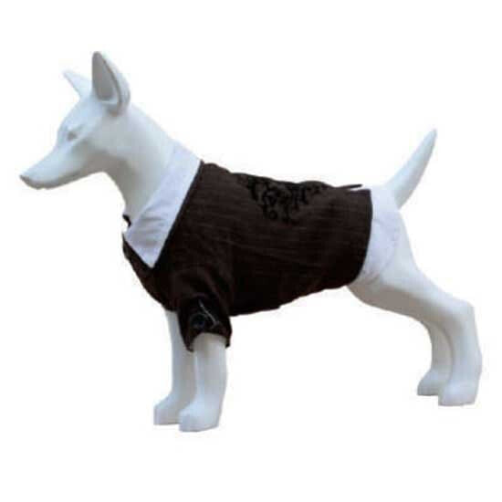 FREEDOG Suit & Shirt