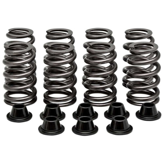 KIBBLEWHITE 82-82600 Valve Springs&Washers