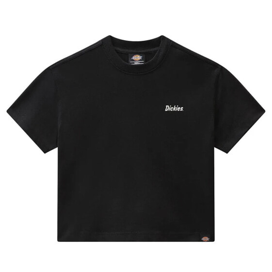 DICKIES Bettles short sleeve T-shirt