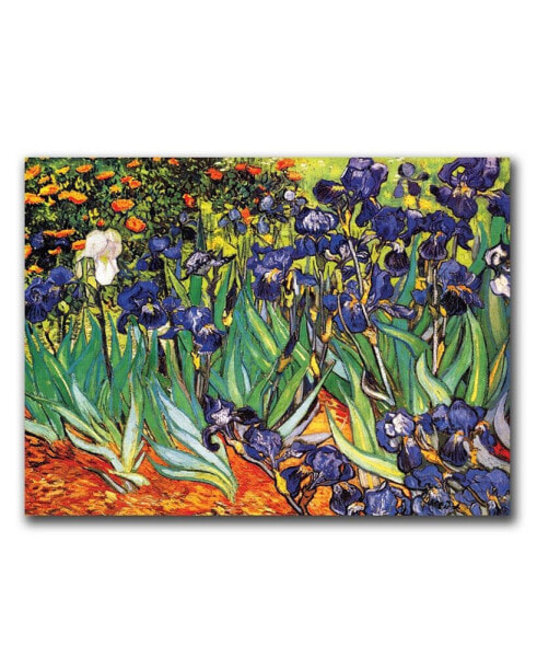 Vincent van Gogh 'Irises at Saint-Remy' Canvas Art - 32" x 24"