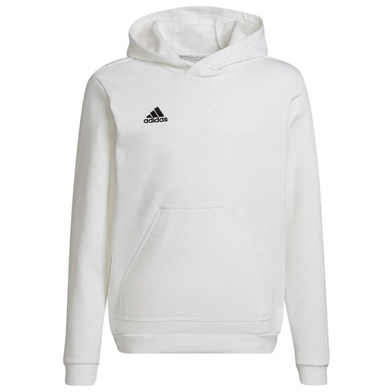 ADIDAS Entrada 22 hoodie