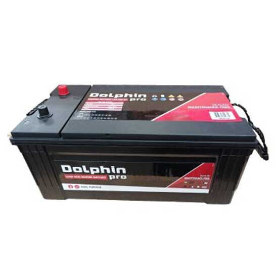 DOLPHIN CHARGER Pro 225A Battery