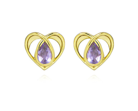 Charming gold-plated earrings with amethysts EG000066