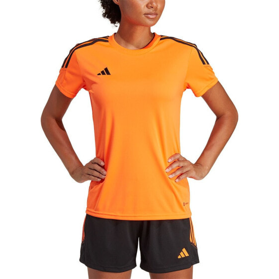 ADIDAS Tiro23 Cb short sleeve T-shirt