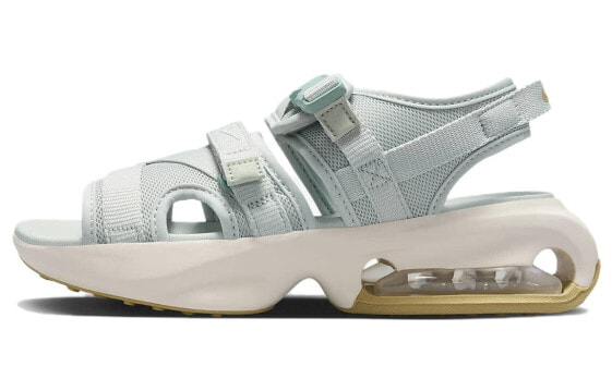 Сандалии женские Nike Air Max Sol Sandal 防滑耐磨 沙滩凉鞋 FD5982-001 (Сине-белые)