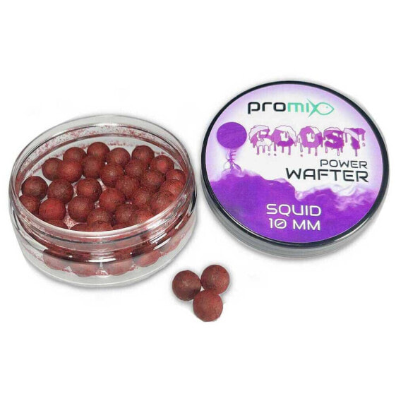 PROMIX Goost Power Squid Wafters