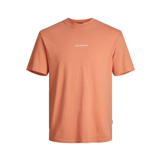 JACK & JONES Aruba Landse short sleeve T-shirt