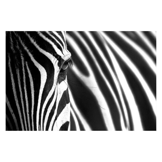 Картина на стену WandbilderXXL Bild Animal Stripes