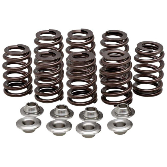 KIBBLEWHITE 20-21205 Valve Springs&Washers