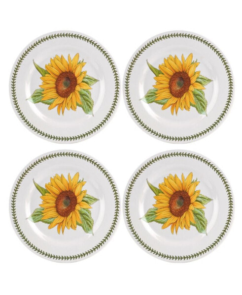 4-Pc. Botanic Garden Melamine Dinner Plates