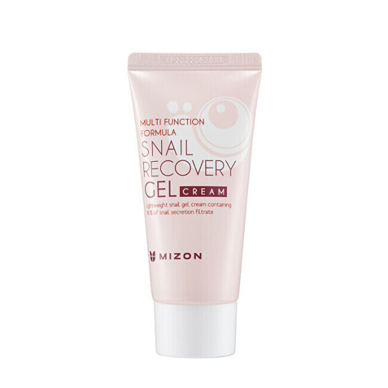 Skin gel with snail secretion filtrate 80% for problematic skin (Snail Recovery Gel Cream) 45 ml