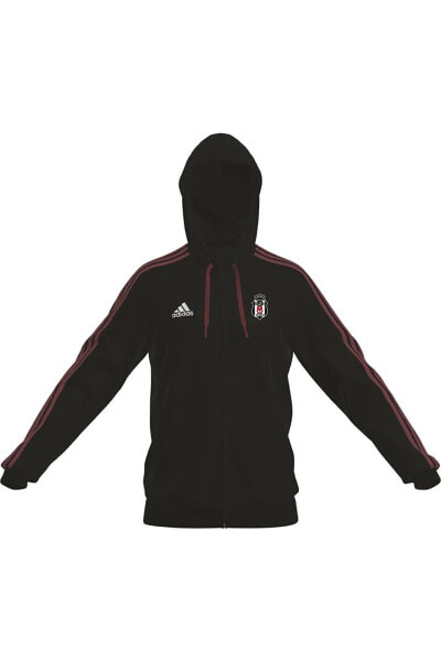 Толстовка мужская Adidas Beşiktaş Sweatshirt HY0338