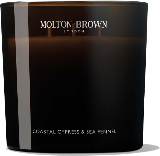 Coastal Cypress & Sea Fennel Luxury Scented Candle