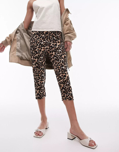 Topshop leopard print ponte capri in brown