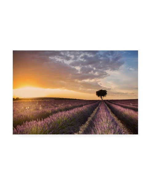 Fran Ros Destination Lavender Canvas Art - 37" x 49"