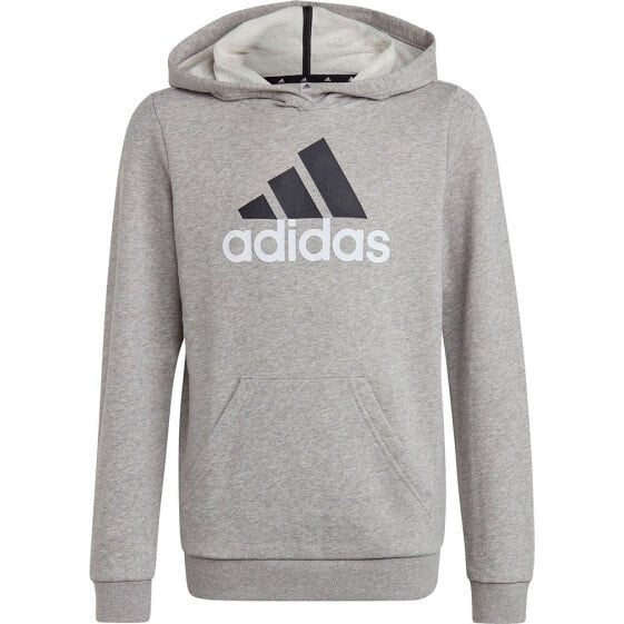 Толстовка Adidas BL 2 для подростков