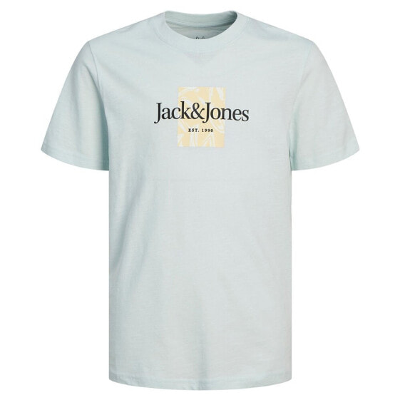 JACK & JONES Lafayette Branding short sleeve T-shirt