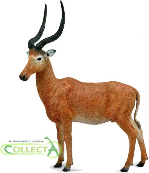 Фигурка Collecta Hirola Figurka Animal Collection (Коллекция животных)