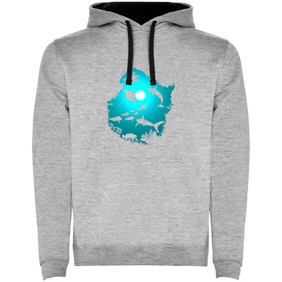 KRUSKIS Underwater Dream Two-Colour hoodie